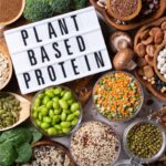 Plant Protein