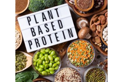 Plant Protein