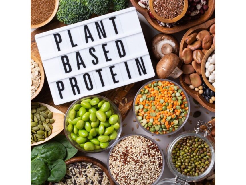 Plant Protein